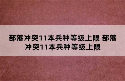 部落冲突11本兵种等级上限 部落冲突11本兵种等级上限